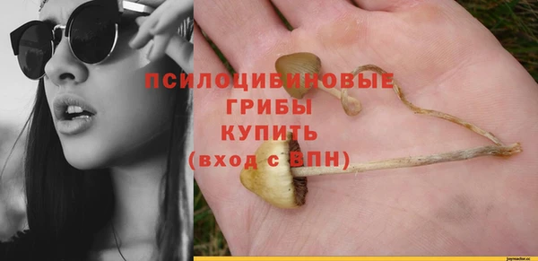наркотики Новодвинск