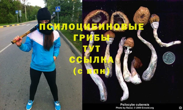 наркотики Новодвинск