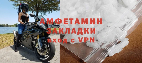 гашик Болотное